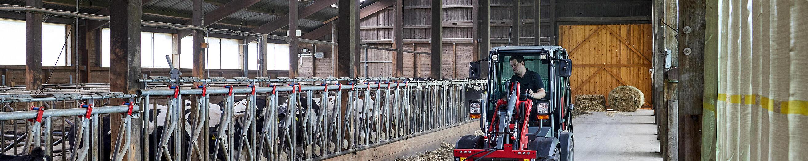 Hoftrac 1260LP de Weidemann en acción