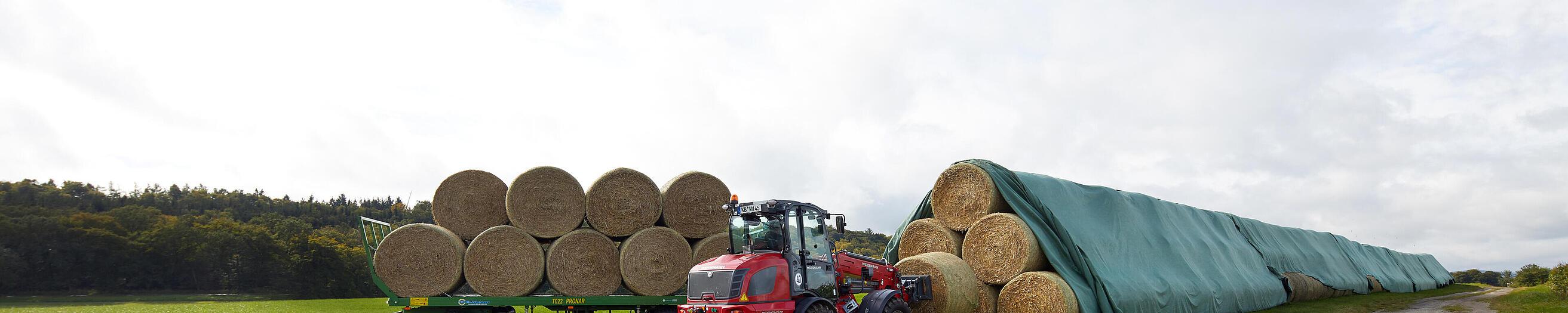 Cargadora telescópica sobre ruedas 5080T de Weidemann en acción