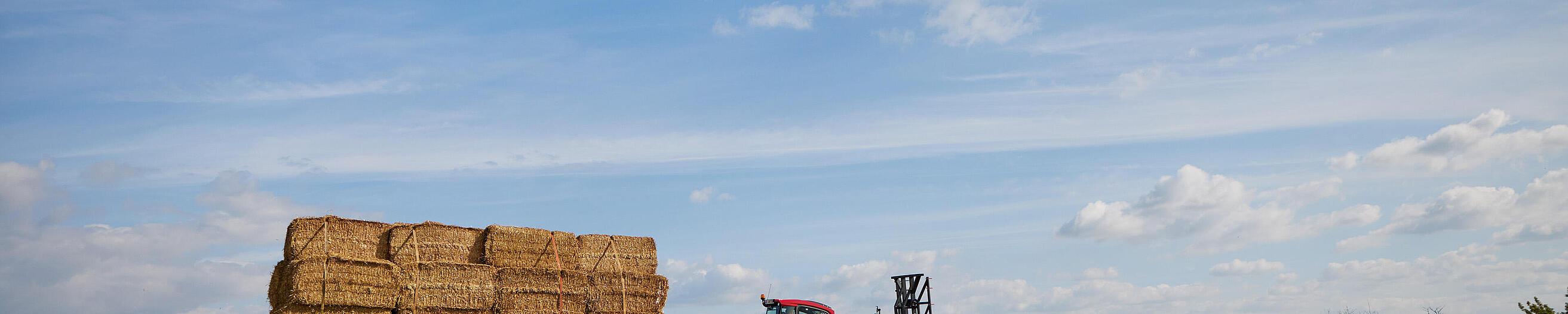 Weidemann Teleskoplader T7042 im Einsatz