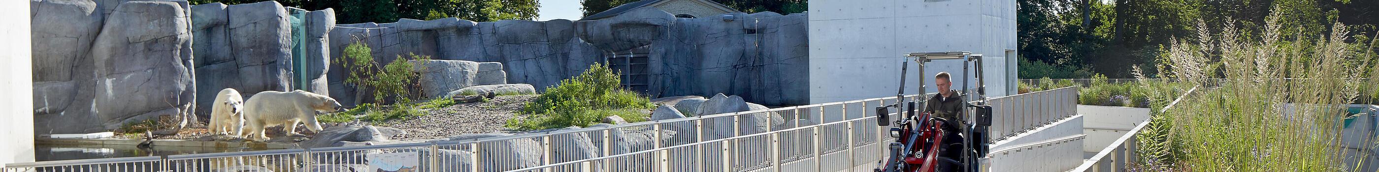 Weidemann Hoftrac 1160e in use