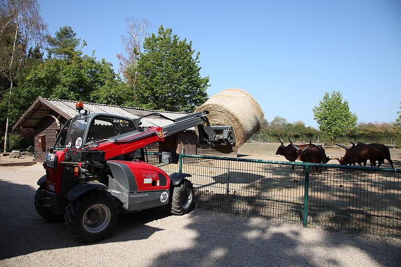 Weidemann Teleskoplader T4512 im Einsatz