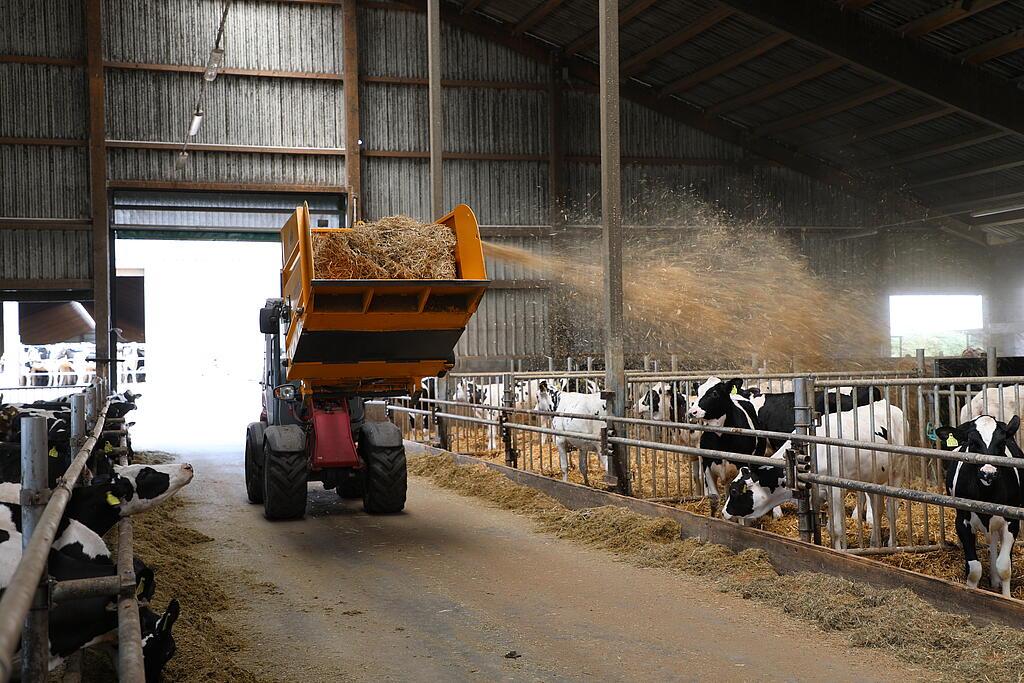 2A5A9163.JPG Weidemann Hoftrac beim Einstreuen im Kuhstall