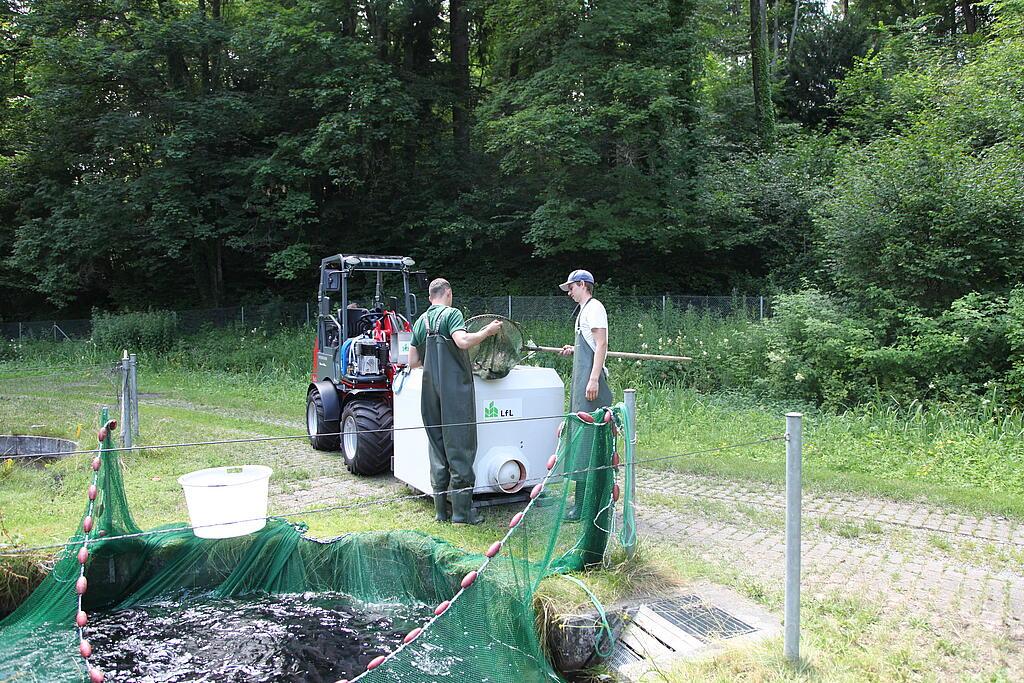IMG_5636.JPG Weidemann 1160 eHoftrac im Einsatz