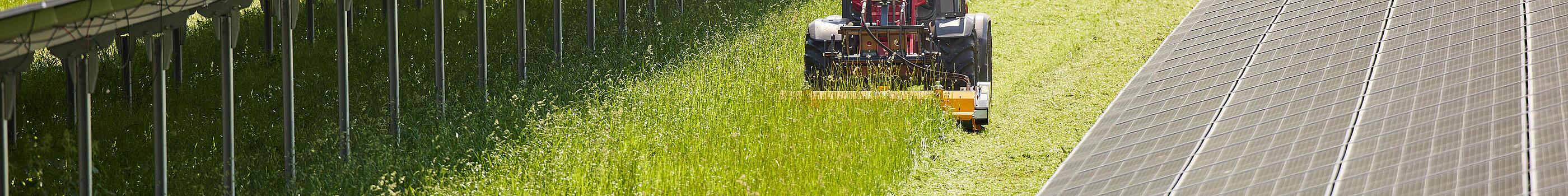 Weidemann Hoftrac 1390 cabin in use with mulcher in a solar park