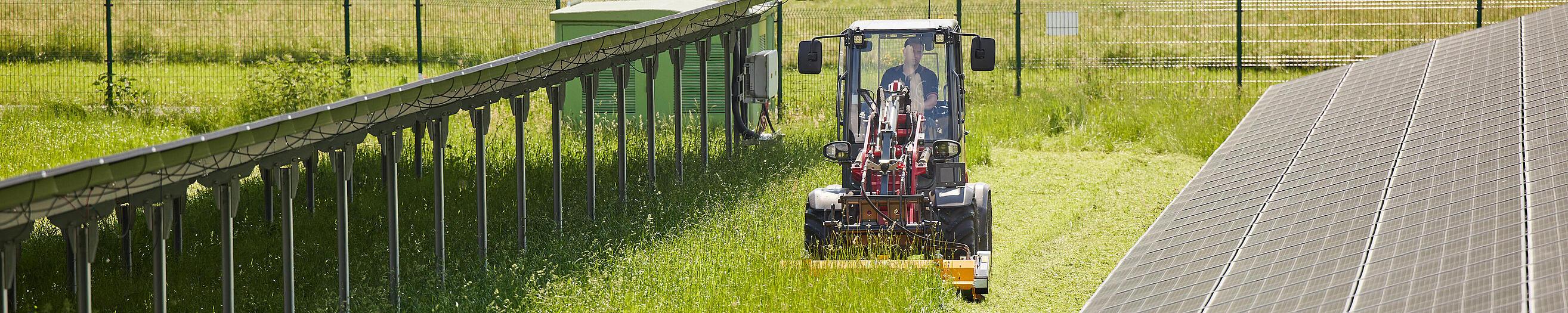 Weidemann Hoftrac 1390 cabin in use with mulcher in a solar park