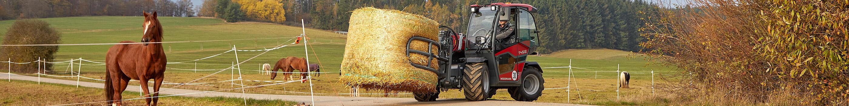 Weidemann telehandler T4512 in use with round bale tong