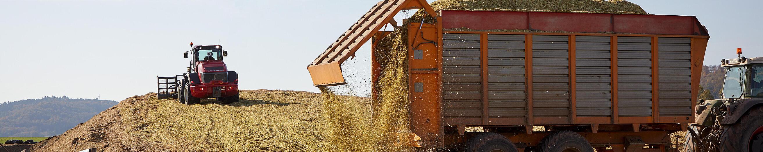 Cargadora sobre ruedas 9080 de Weidemann en acción