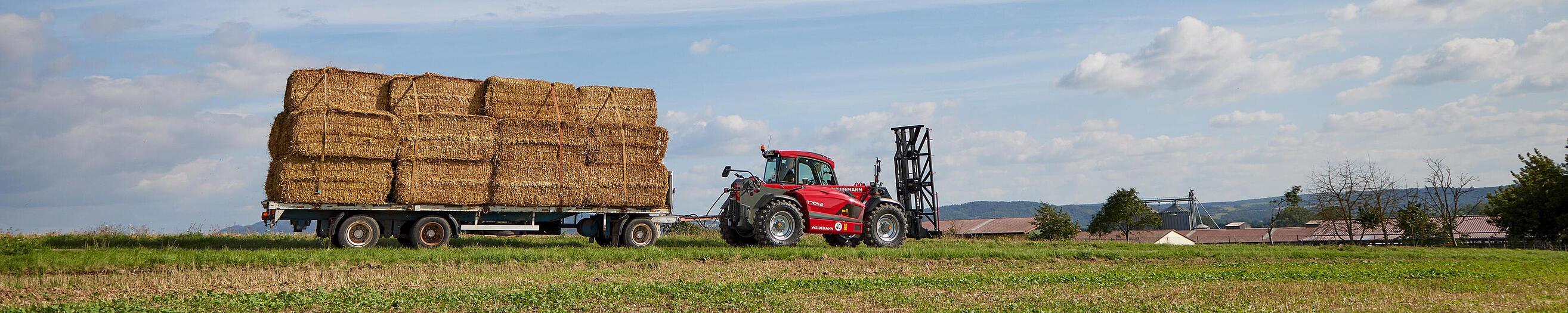 Weidemann telehandler T7042 in use