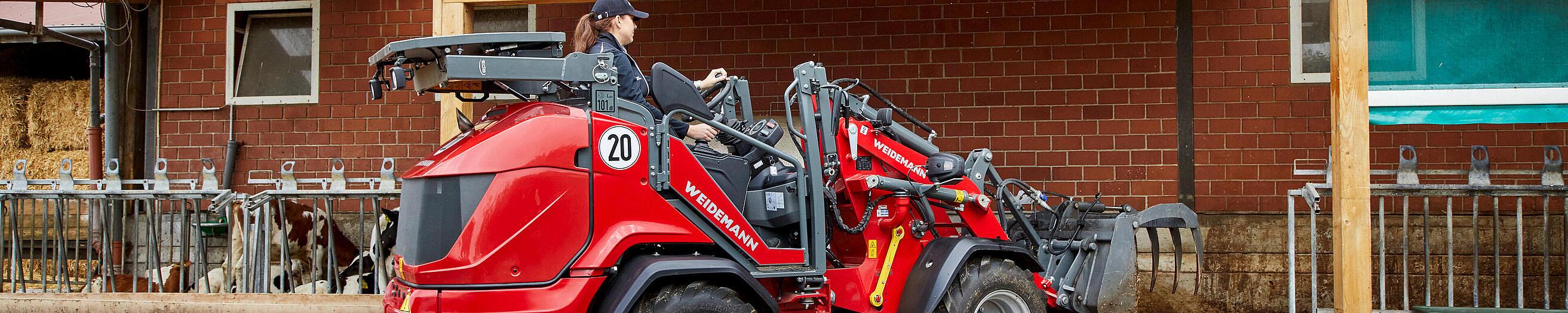 Hoftrac 1390 de Weidemann con techo protector abatido (eps)